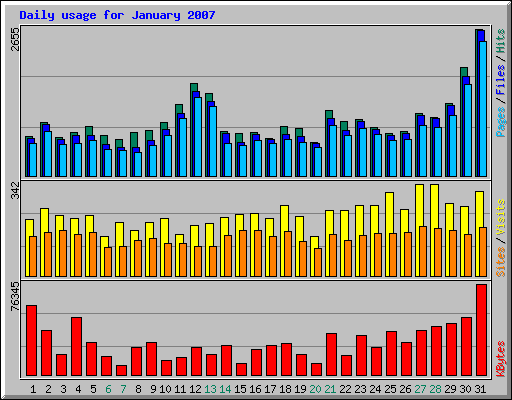 Daily usage for January 2007