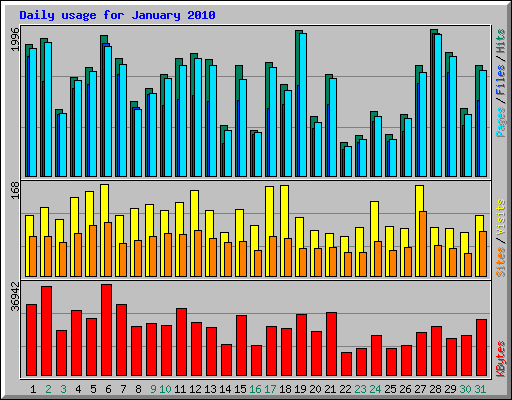 Daily usage for January 2010